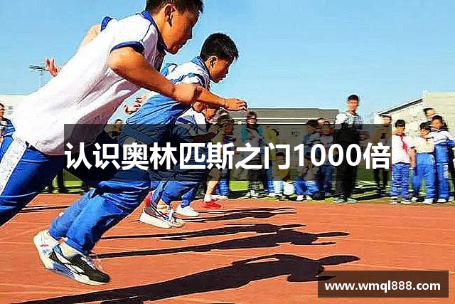 认识奥林匹斯之门1000倍